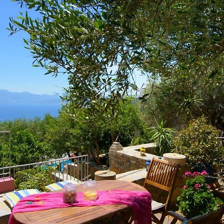 Villa Olga Агиос-Николаос Экстерьер фото